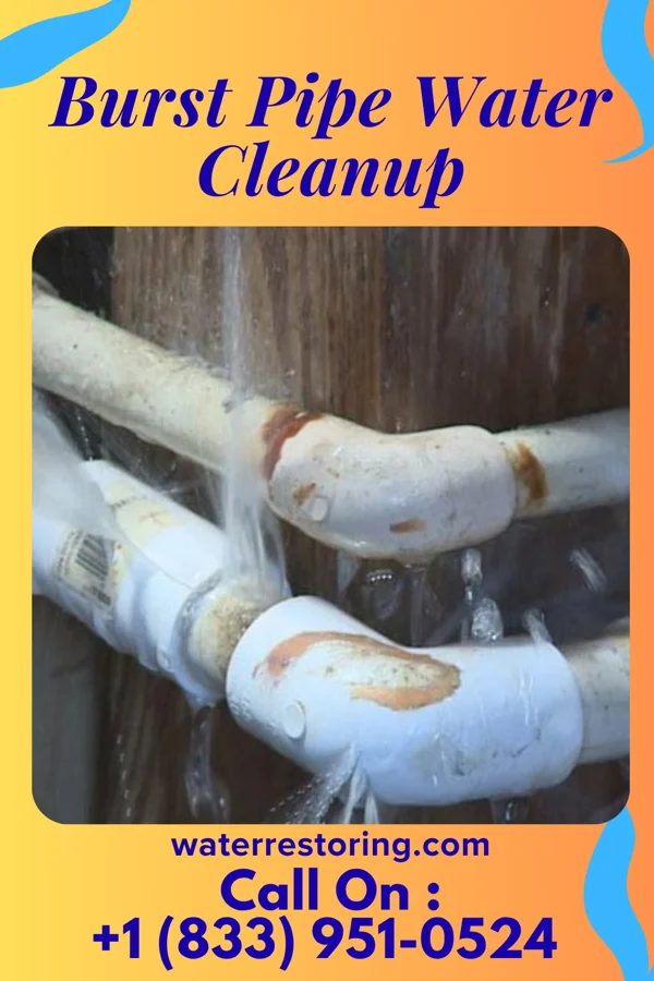 Burst Pipe Water Cleanup in Almont, MI