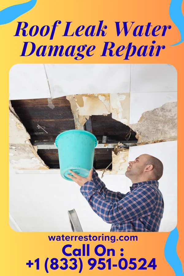 Roof Leak Water Damage Repair in Almont, MI